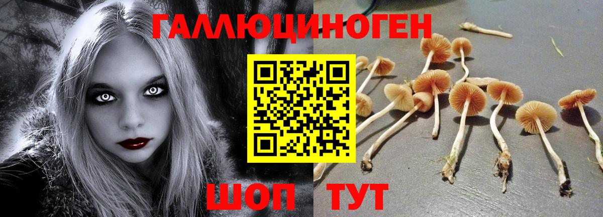 Галлюциногенные грибы ЛСД  Вход с VPN  Ирбит  Псилоцибиновые грибы GOLDEN TEACHER 